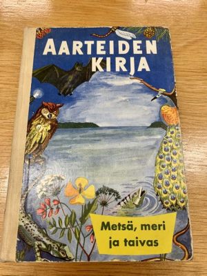  Nakhoda Bayan ja Merimuori: Kadonneiden Aarteiden Ja Mystisten Olojen Tarina?